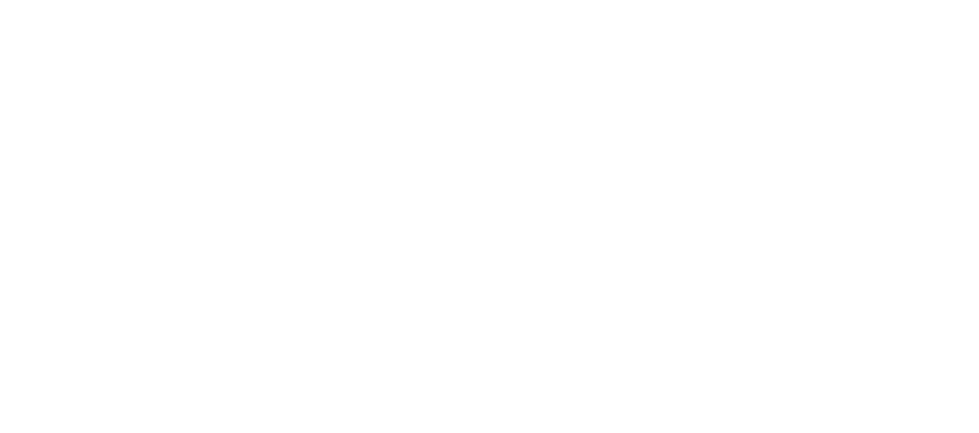 Logo Shameless Pub, pub a Pomigliano d'Arco